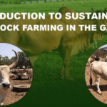 Sustainable Livestock Farming in The Gambia - the how and why?