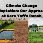 Climate ChangeAdaptation Approach at Sare Yaffa Ranch