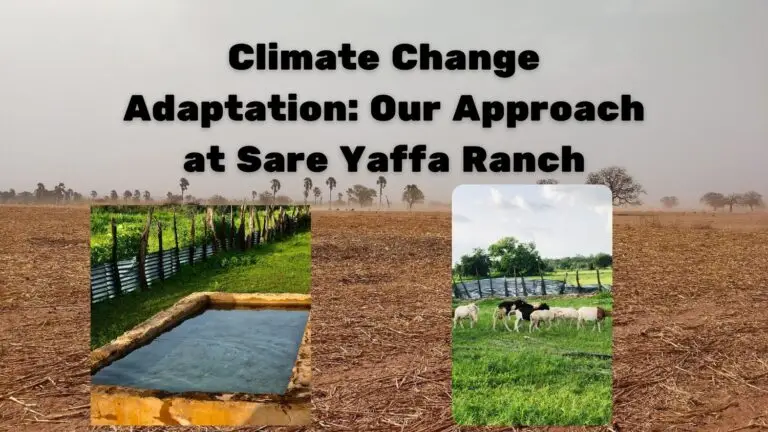 Climate ChangeAdaptation Approach at Sare Yaffa Ranch
